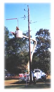 Sneads line work: A crew prepares for the conversion of a single-phase power line to three-phase in Jackson County.